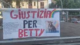 Dal lancio del quarto piano al cuore della piazza: l'addio alla cagnolina Betty scuote San Giovanni La Punta
