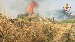 Incendi, non &egrave; solo terra che brucia: la ferita profonda di una Sicilia in cenere