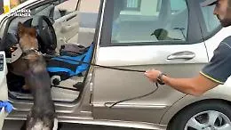 Catania, 2,1 kg di cocaina nascosti nel cruscotto dell'autovettura: arrestato un 68enne