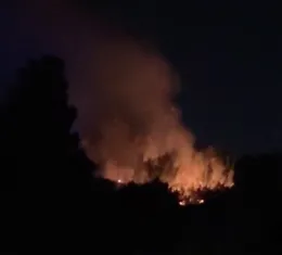 Fiamme nella riserva del Pino d'Aleppo, a Vittoria situazione critica