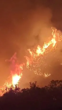 Fiamme alte cinque metri minacciano le case: i residenti fermano il maxi incendio con secchi d'acqua