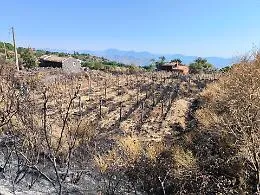 Incendi, la Regione vara lo stato di emergenza: in 20 giorni 8mila interventi e 50 milioni di danni
