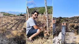 Nei borghi dell'Etna sconvolti dagli incendi, &laquo;chi &egrave; stato conosce bene il territorio&raquo;. L'imprenditore: &laquo;La mia vigna distrutta&raquo;