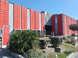 Il furto al Museo di Messina: &laquo;L'allarme funzionava&raquo;