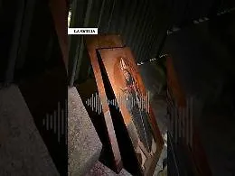 &laquo;Qui ci sono dei quadri del museo, credo che qualcuno li abbia rubati...&raquo;. La telefonata della donna che ha fatto scattare l'allarme
