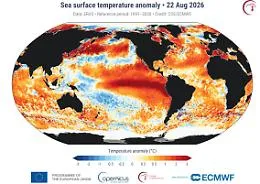 Oceani bollenti nell'estate record: perch&eacute; le misurazioni di Copernicus spaventano gli esperti