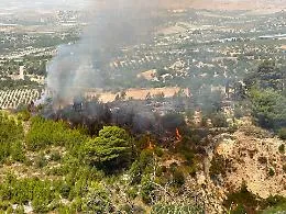 Chiaramonte, incendio nella macchia forestale. Il sindaco: "Vietato entrare"