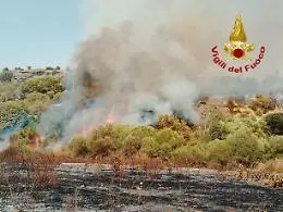Sicilia avvolta dalle fiamme per incendi dolosi e per l'ondata di caldo: 198 roghi soltanto nel weekend