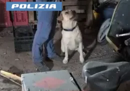 Scoperta base per lo spaccio a Patern&ograve;: arrestato un 21enne di Biancavilla con crack e marijuana