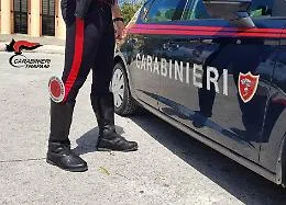 A Marsala un 46enne con il "pollice verde": in casa aveva una vasta piantagione e la marijuana pronta per lo spaccio