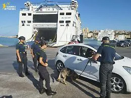 Blitz e controlli antidroga ad Agrigento: entra in servizio Nolly, il giovane pastore tedesco della Guardia di Finanza