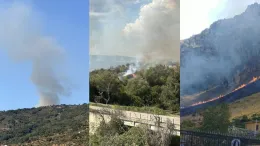 Sicilia ancora in fiamme: decine di incendi alimentati da caldo e vento