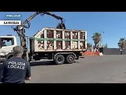 Blitz della Polizia di Catania a Ognina: rimosse installazioni abusive e 20 sacchi di rifiuti