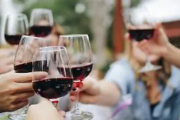 Vino, l'Italia &egrave; un modello di consumo responsabile per l'Europa. E anche la produzione va bene
