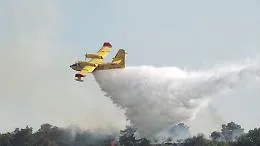 Brucia la macchia mediterranea: il vento spinge il rogo, decisivo l'intervento del Canadair
