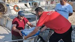 BlueFishers porta mille cassette riutilizzabili a Sciacca: la filiera ittica dice addio al polistirene espanso