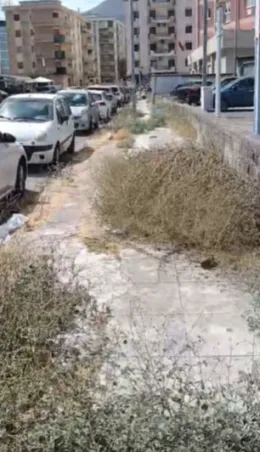 Via Cimabue a Palermo, marciapiede invaso dalle erbacce: i pedoni costretti a camminare sulla carreggiata