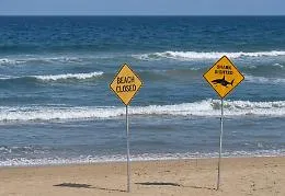 Paura lungo la costa australiana: squalo attacca un surfista a nord di Geraldton 