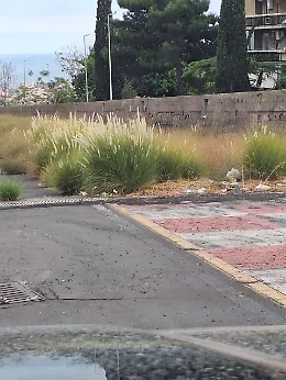 Catania, corsie di decelerazione al viale Mediterraneo invase dalla vegetazione
