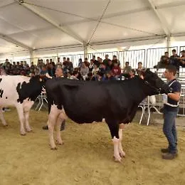 La zootecnia al centro della 51esima edizione della Fam di Ragusa