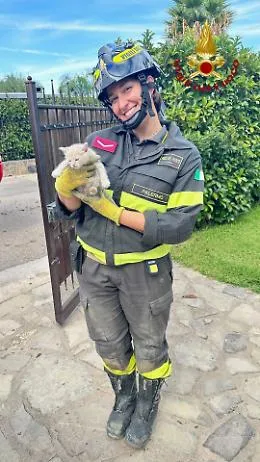 Gattino incastrato sottoterra, salvataggio a Campofelice di Roccella