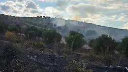 Rogo devastante tra Cattolica Eraclea e Montallegro: piromane brucia ettari di colture, minacciate le case