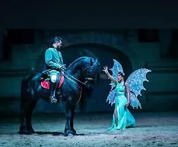 Ragusa, alla Fam spazio anche all'arte equestre