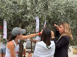 L'Albero della Memoria alla Valle dei Templi contro la violenza sulle donne 