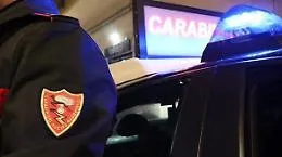 Vittoria, sorpreso a rubare uva in un'azienda agricola: arrestato