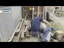 Falsomiele e Bonagia "cinturati" da blitz interforze: droga, denunce e sequestri