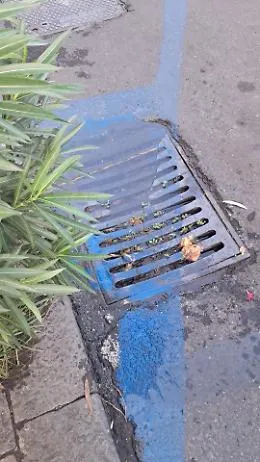Via Antonino di Sangiuliano alta a Catania: caditoie da pulire e stalli blu da convertire per i motocicli