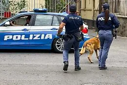  Rex scopre cocaina e marijuana in via Capo Passero: arrestato un pusher