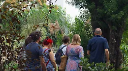 La domenica mattina con Officine Culturali: visite guidate all&rsquo;Orto Botanico e Villa Cerami
