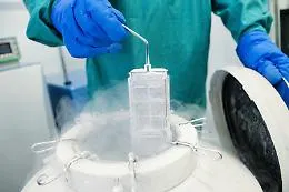 Scambio di embrioni: bimba non &egrave; biologicamente dei genitori che ora chiedono 540mila euro di risarcimento