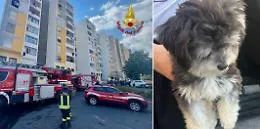 Darko e Bianca salvati dalle fiamme a Librino: incendio divampato nel vano scala di un palazzo