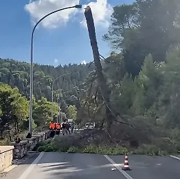 Piovono alberi sulla Sp 8 per Chiaramonte Gulfi, ma &egrave; per garantire la sicurezza