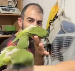 "Dietro quei numeri ci sono 377 vite": l'Oipa iblea racconta il volto nascosto dei sequestri di animali