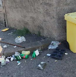 Viale Fleming, rifiuti abbandonati accanto ai cassonetti