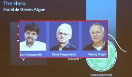 Dai topi alle terapie umane: l&rsquo;optogenetica pu&ograve; curare le malattie del cervello?