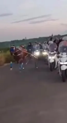 Un&rsquo;altra corsa clandestina di cavalli: tre &ldquo;inseguitori&rdquo; armati di pistola a Palagonia
