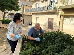 Comiso risponde al vandalismo, anche il sindaco con i volontari a pulire