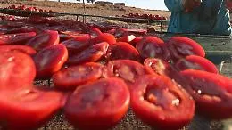Salmonella nei pomodorini, da Brescia a Gela: perch&eacute; il lavaggio non basta