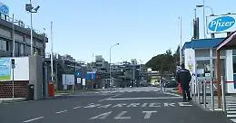 Vertenza Pfizer a Catania, fronte sindacale compatto per salvare 330 posti: sciopero per l'arrivo di Urso e appello a Meloni