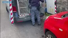 Ordigno artigianale pronto a far saltare un bancomat: sventato assalto a San Cristoforo