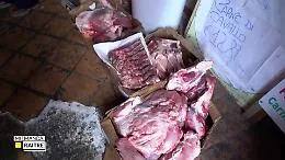 Mi Manda Rai Tre a Catania: 'A fera 'o luni' e la Pescheria sotto la lente per carni esposte e pesce senza tracciabilit&agrave;