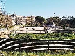 Il pattinodromo torner&agrave; presto a splendere