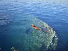 &Egrave; arrivato il momento di rimuovere il relitto della &ldquo;Golfo di Patti&rdquo;