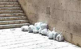 Gela, lotta agli sporcaccioni: raccolta indifferenziata in calo dopo due settimane di controlli