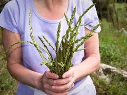 Una primavera perfetta per &ldquo;cogghiri viddura&rdquo; e riscoprire un&rsquo;arte antica, la partecipazione dei giovani a corsi e attivit&agrave;