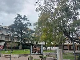 Campagna elettorale &ldquo;irregolare&rdquo;, Brancato frena: &laquo;Servono i nomi&raquo;